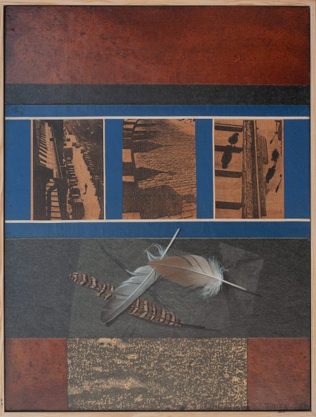 Oiseaux de nuit n°1 61x46 Francine JUNKA artiste peintre française : techniques mixtes avec peinture acrylique en trompe l’œil, techniques personnelle d'impressions artistiques, retouches d'images, jeux de matières et collages.